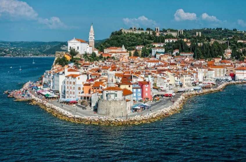 Apartment Istrian View Smarje  Bagian luar foto