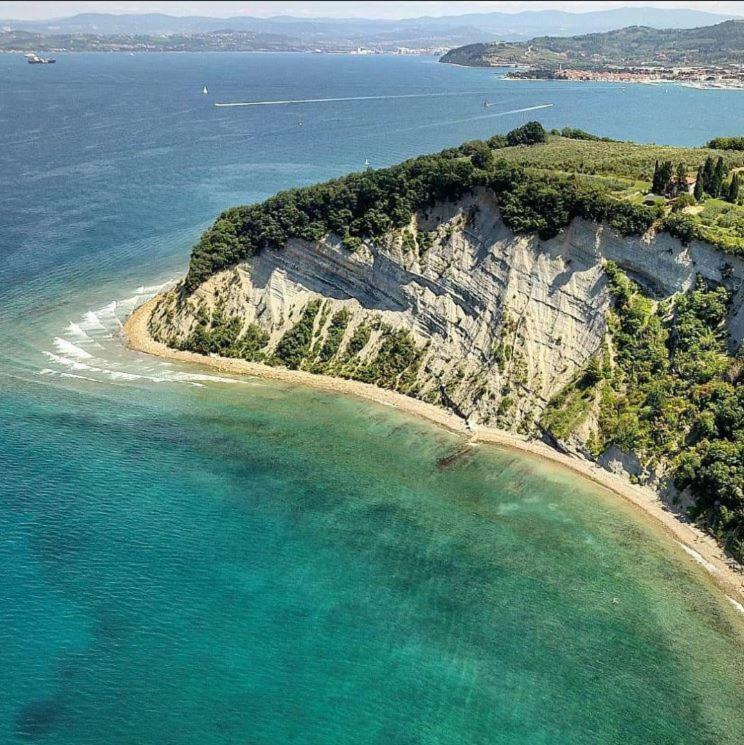 Apartment Istrian View Smarje  Bagian luar foto